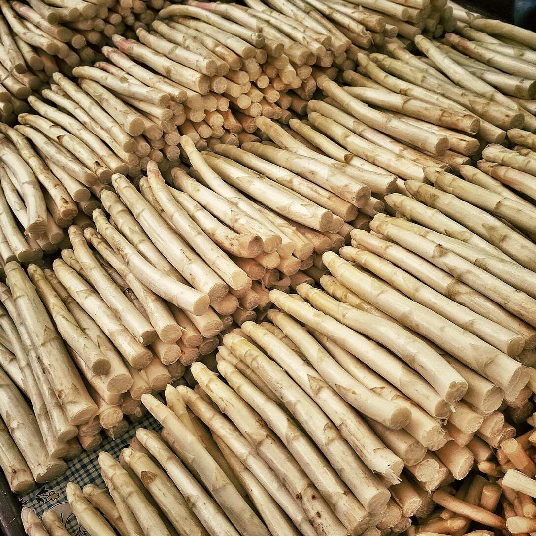 掌握芦笋高产栽培技术，让你的芦笋产量蹭蹭往上涨！